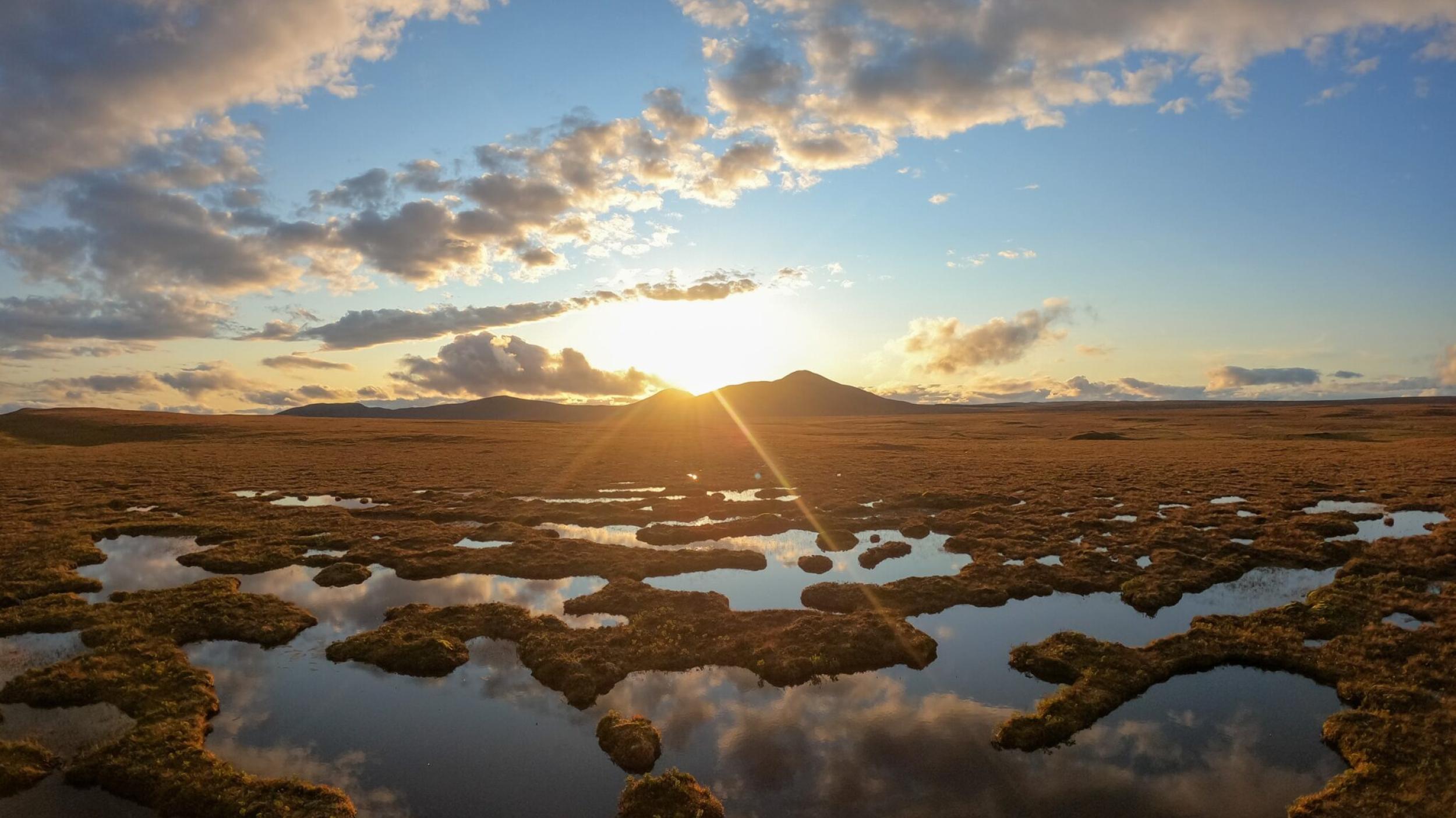 Peatland Restoration Holds Great Potential | Global Peatlands Initiative